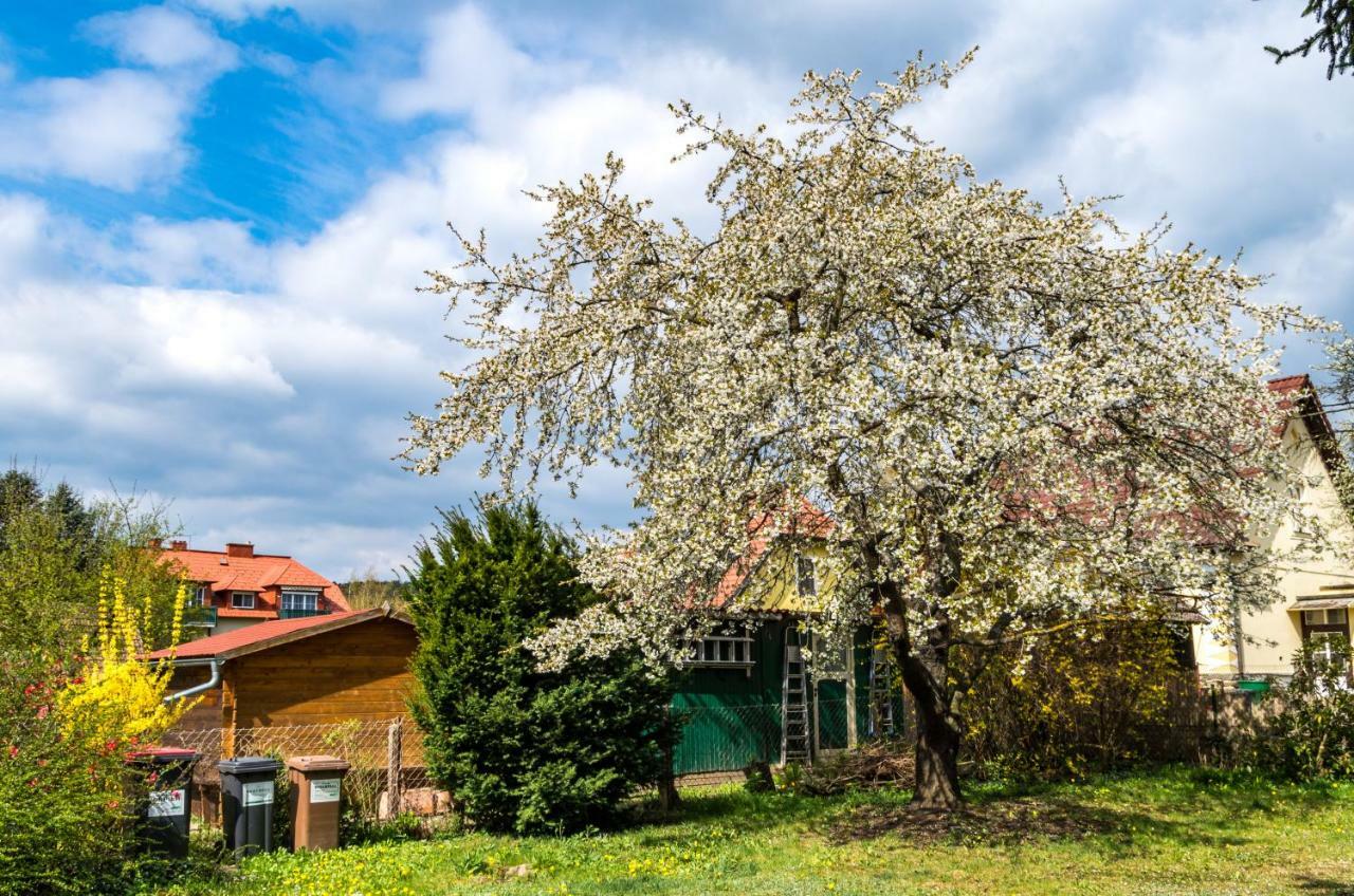 Gemuetliches, Heimeliges Ferienhaus Gars am Kamp Dış mekan fotoğraf